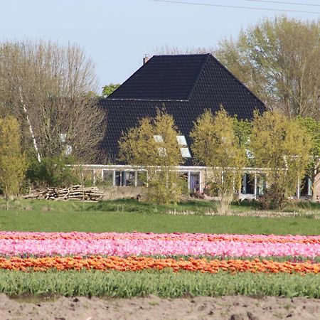 B&B Heeringhuusen Haringhuizen Esterno foto