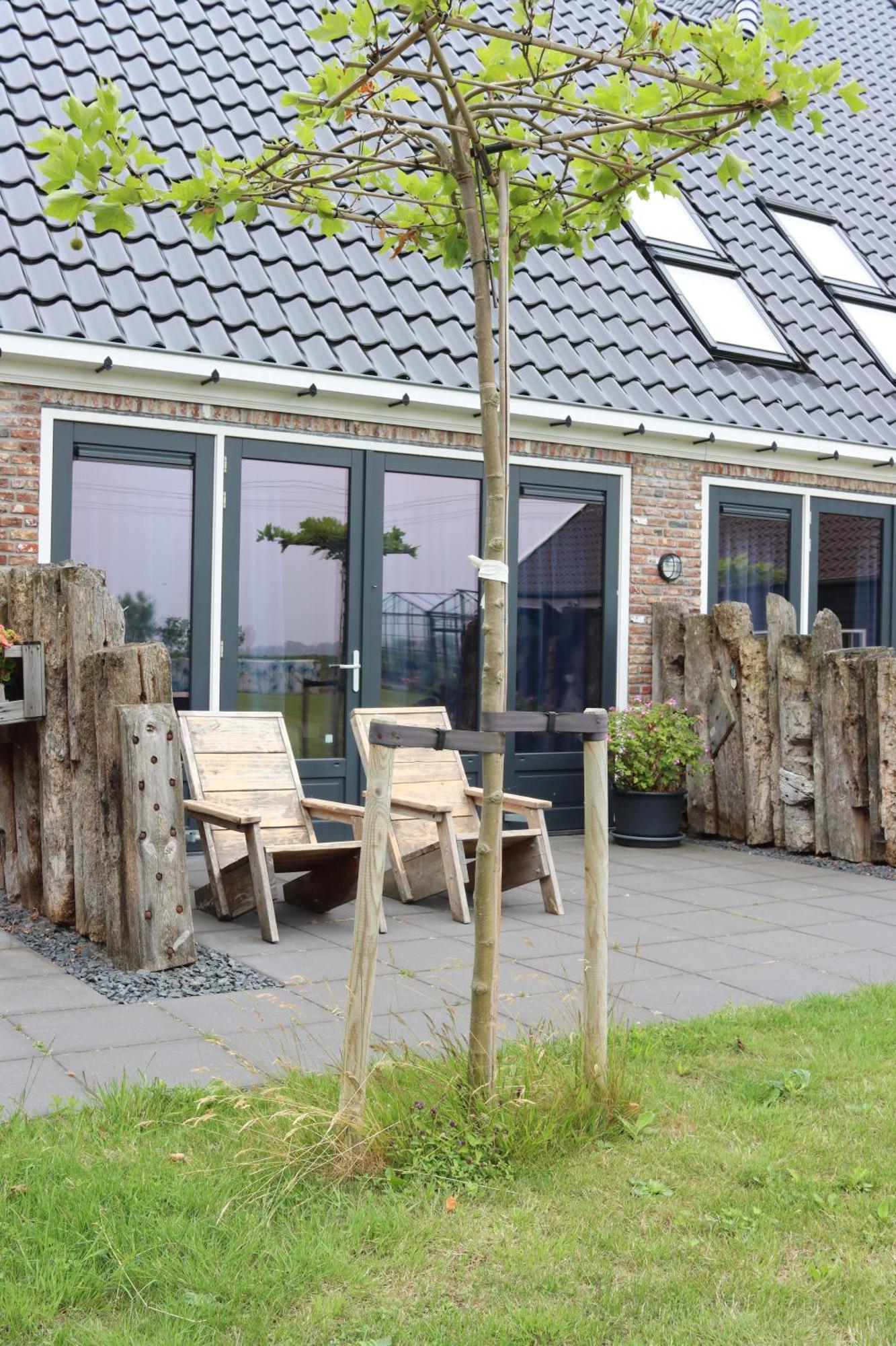 B&B Heeringhuusen Haringhuizen Esterno foto